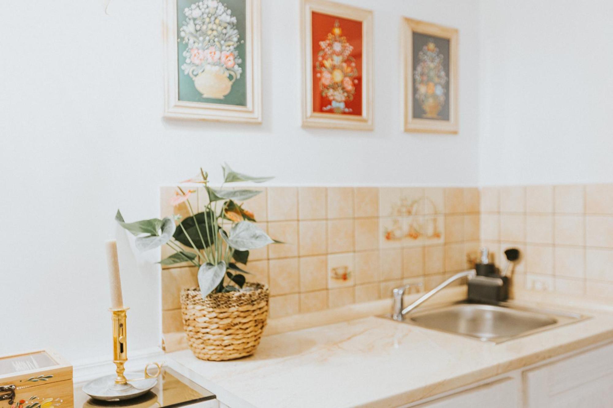 Republicii Rustic Apartament In Brasov City Center Bagian luar foto