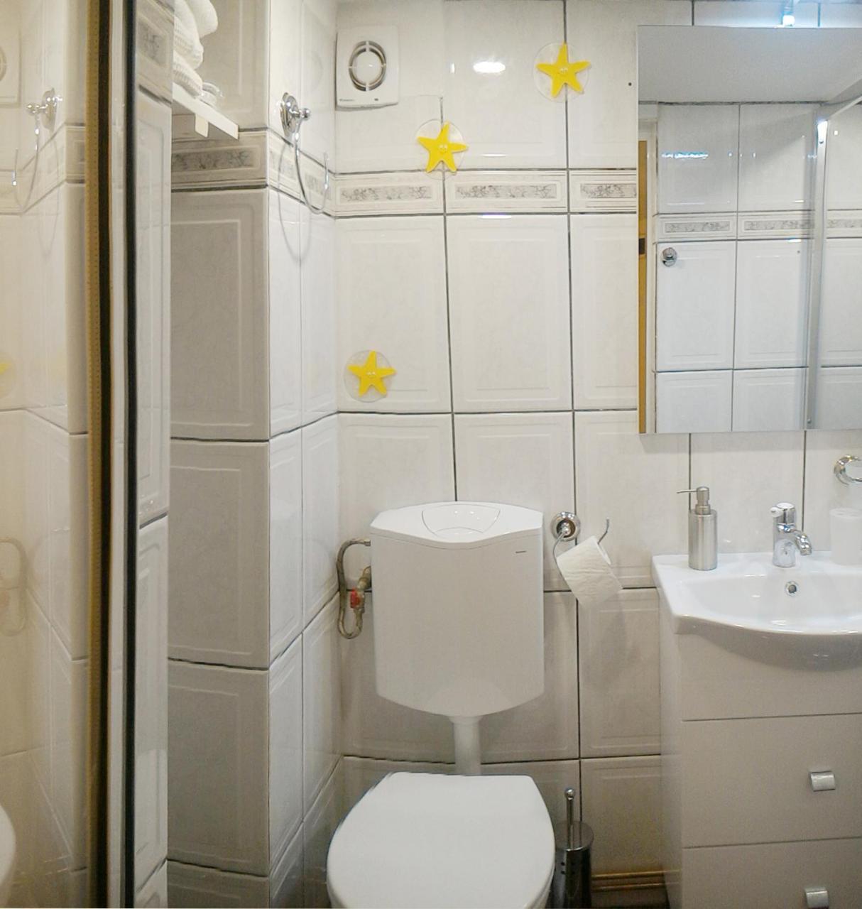Republicii Rustic Apartament In Brasov City Center Bagian luar foto
